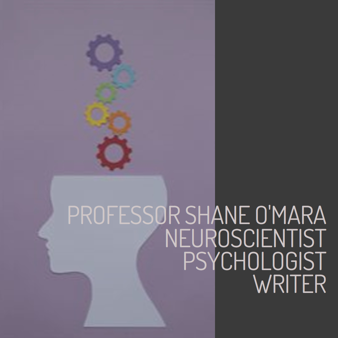 Shane O'Mara Writer - site logo